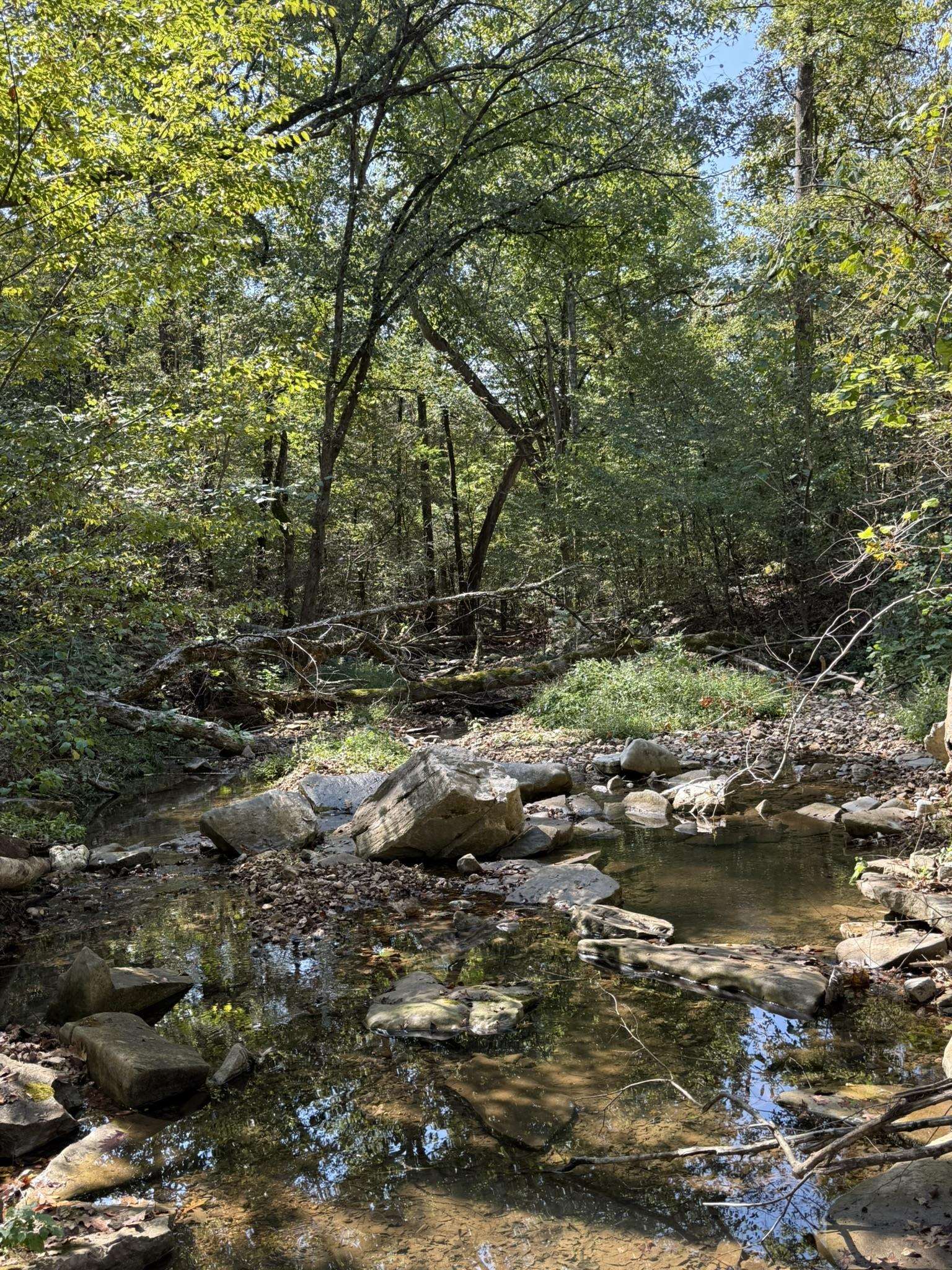 122A Williamson Trail  Guion, AR