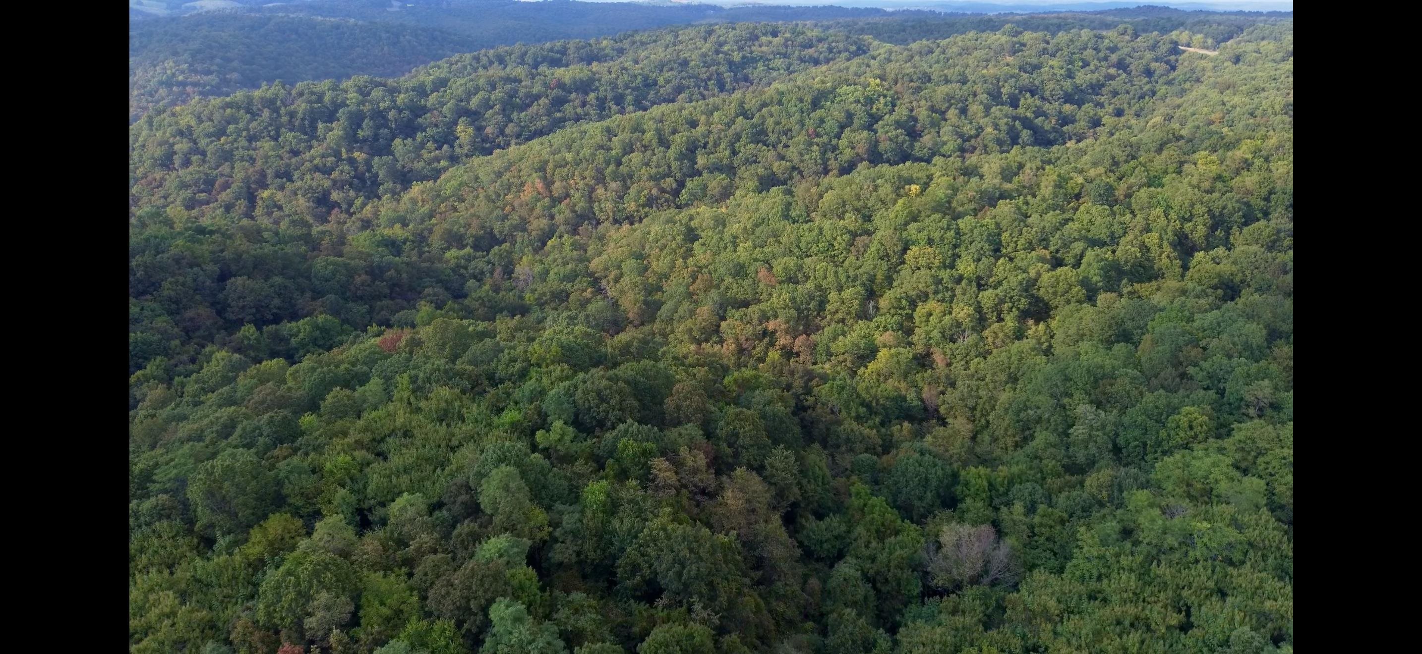 122A Williamson Trail  Guion, AR