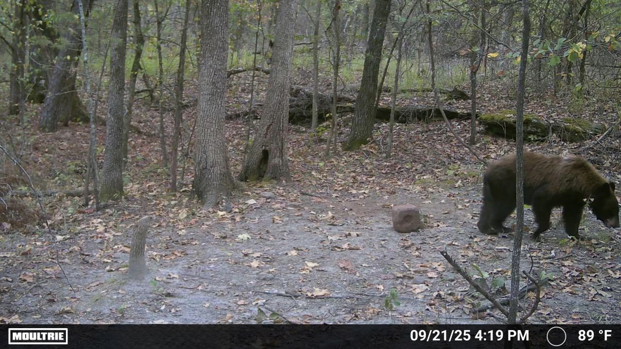 122A Williamson Trail  Guion, AR