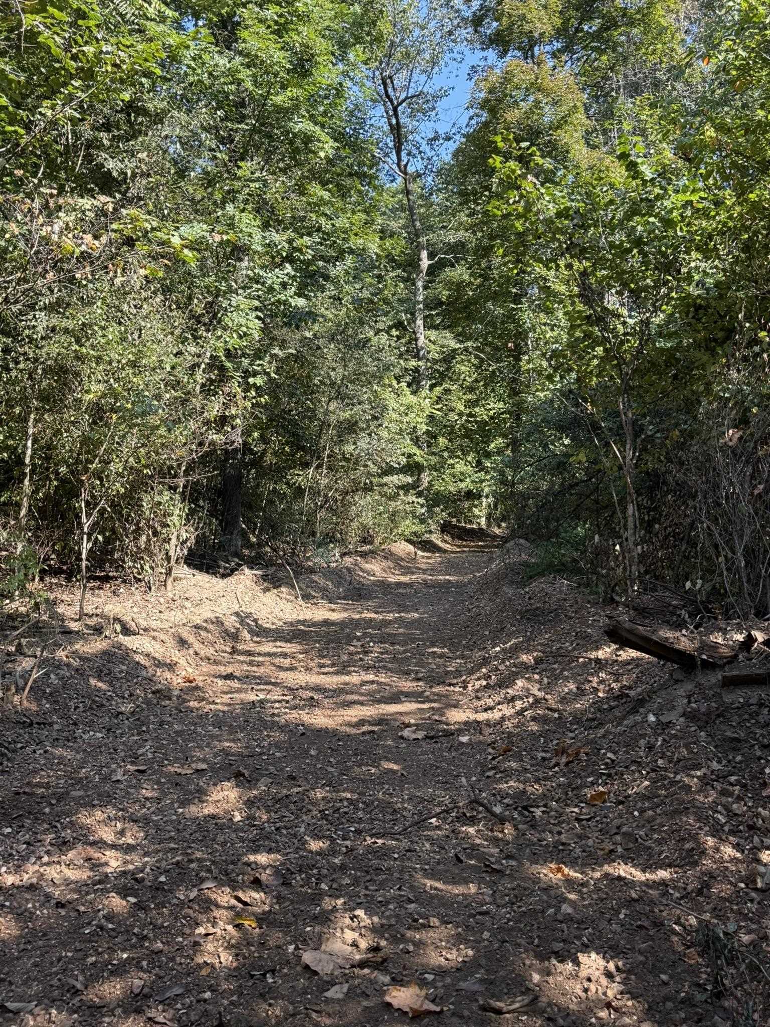 122A Williamson Trail  Guion, AR