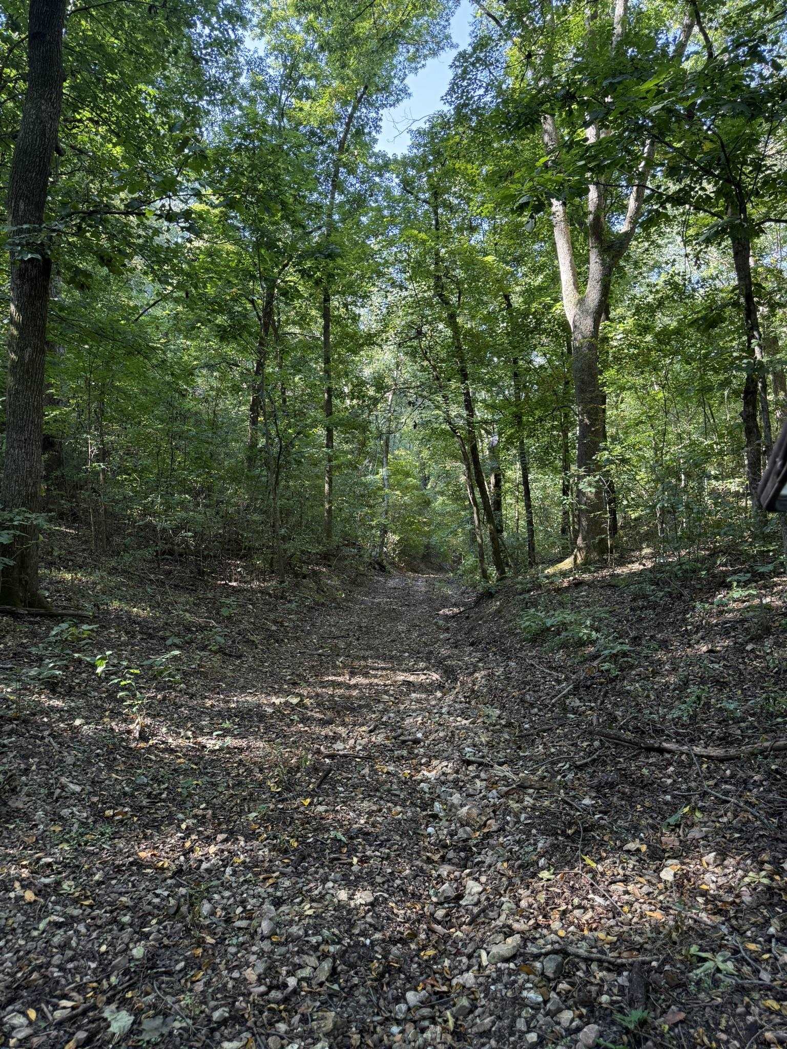 122A Williamson Trail  Guion, AR