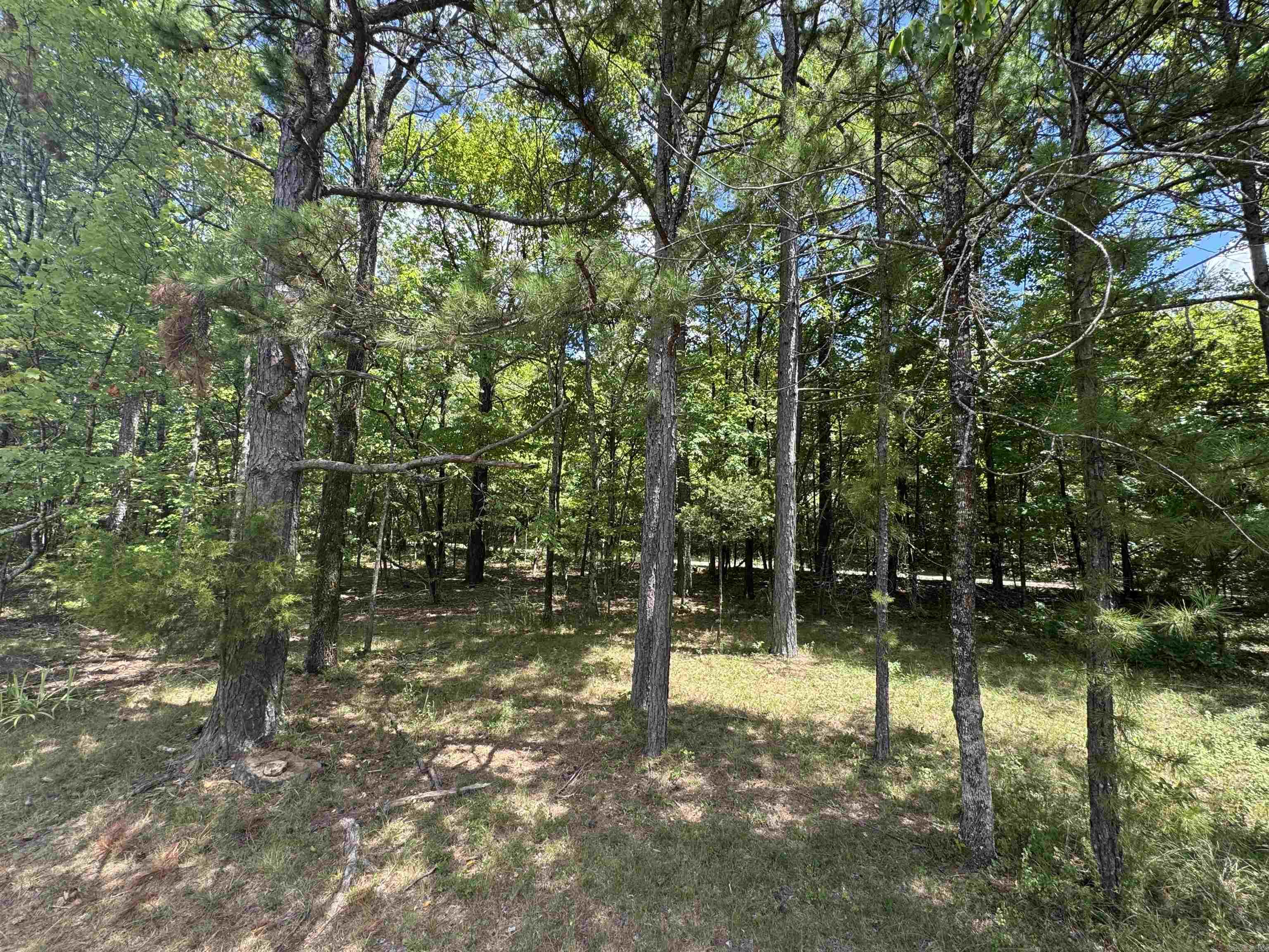 4004 Brock  Clinton, AR