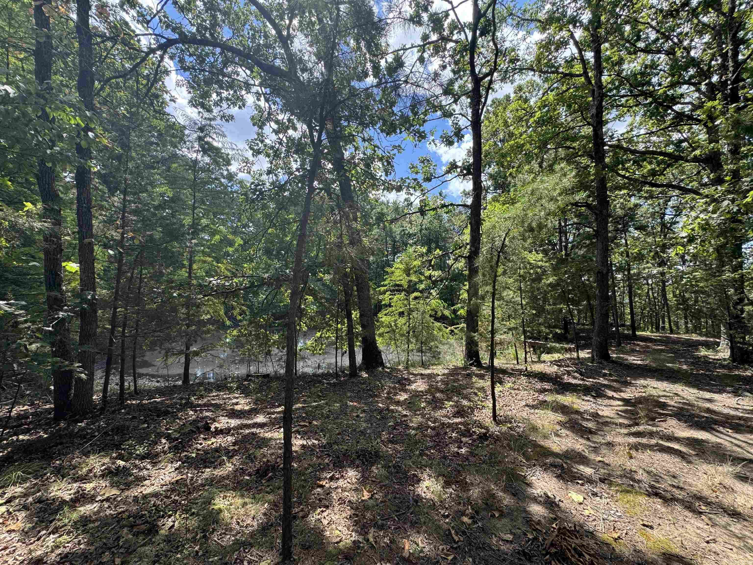 4004 Brock  Clinton, AR