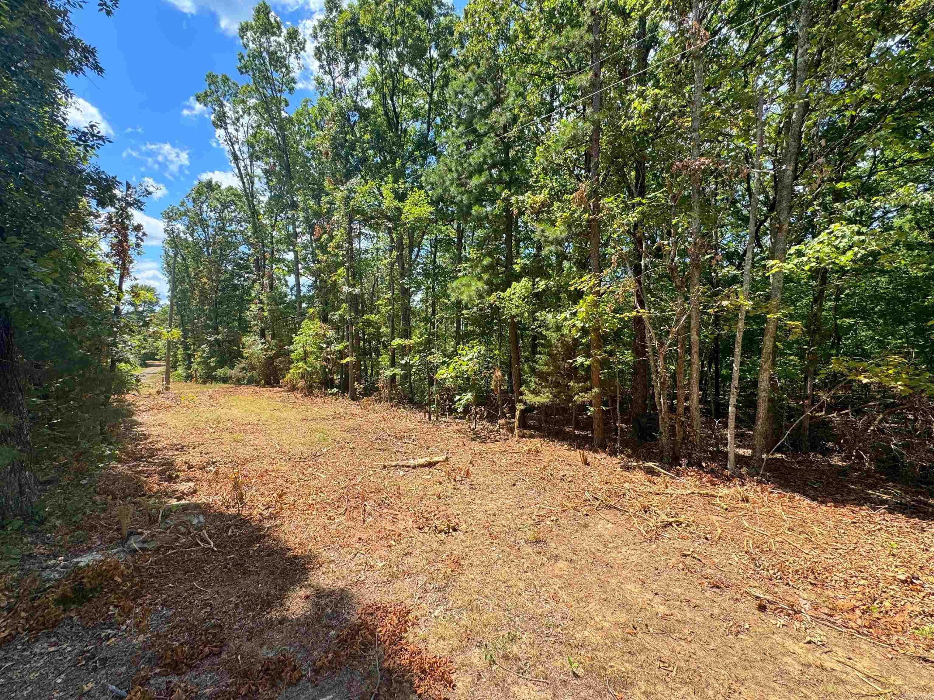 4004 Brock  Clinton, AR