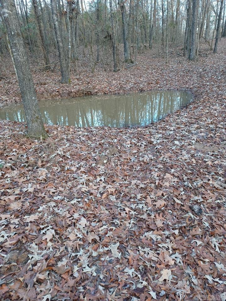 538 Fowler  Maynard, AR