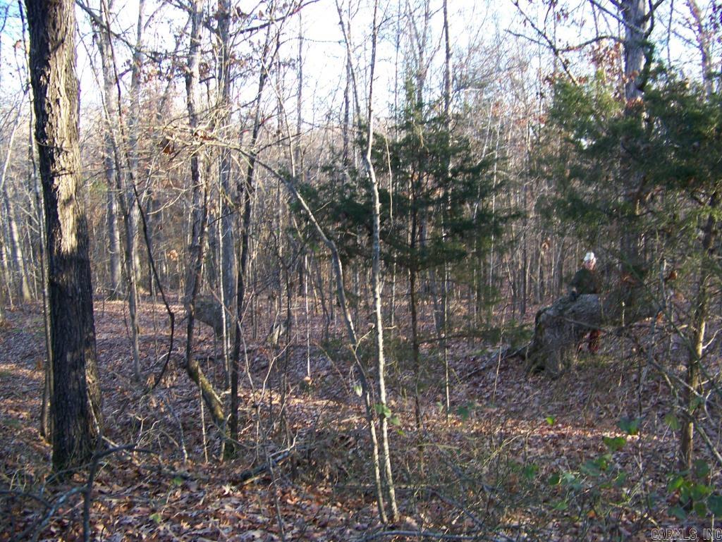 538 Fowler  Maynard, AR