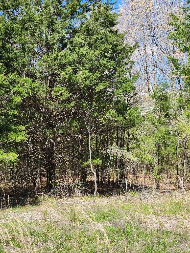 538 Fowler  Maynard, AR