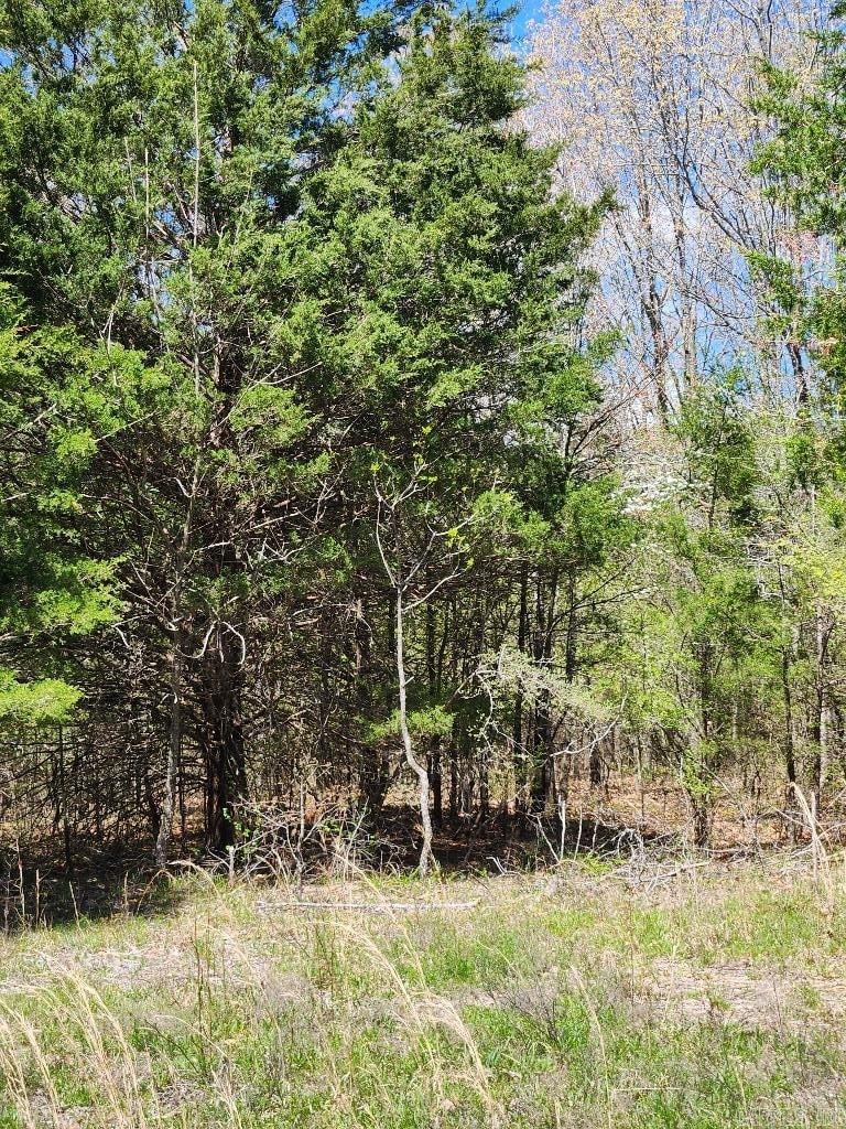 538 Fowler  Maynard, AR