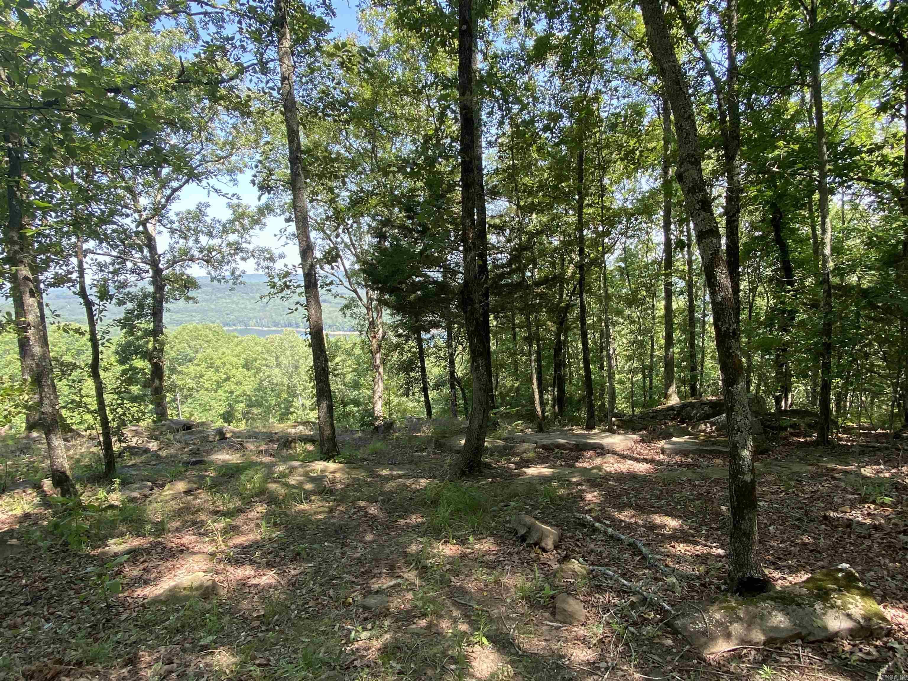 Lots 7, 8, & 9 Brown  Greers Ferry, AR
