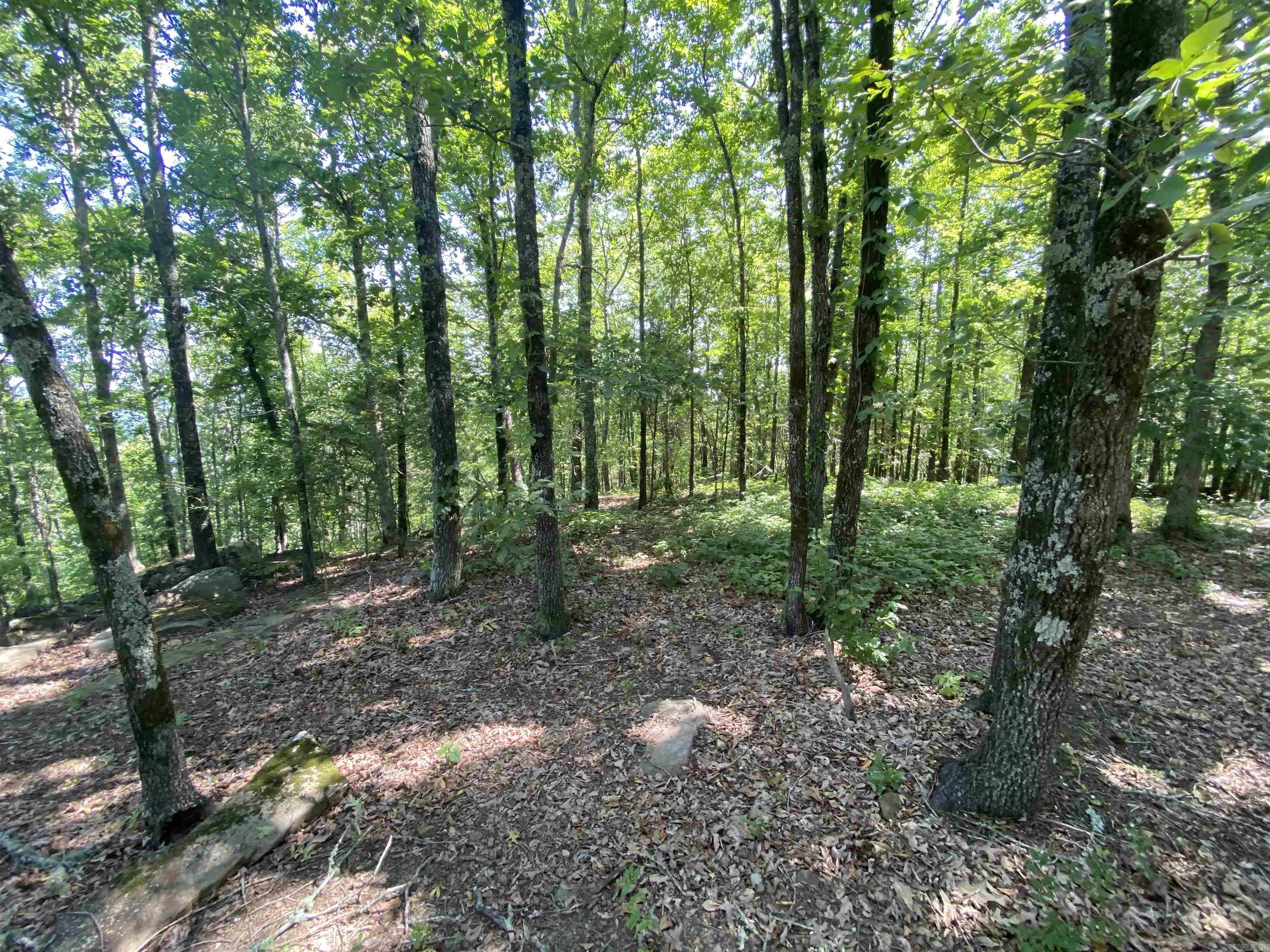 Lots 7, 8, & 9 Brown  Greers Ferry, AR