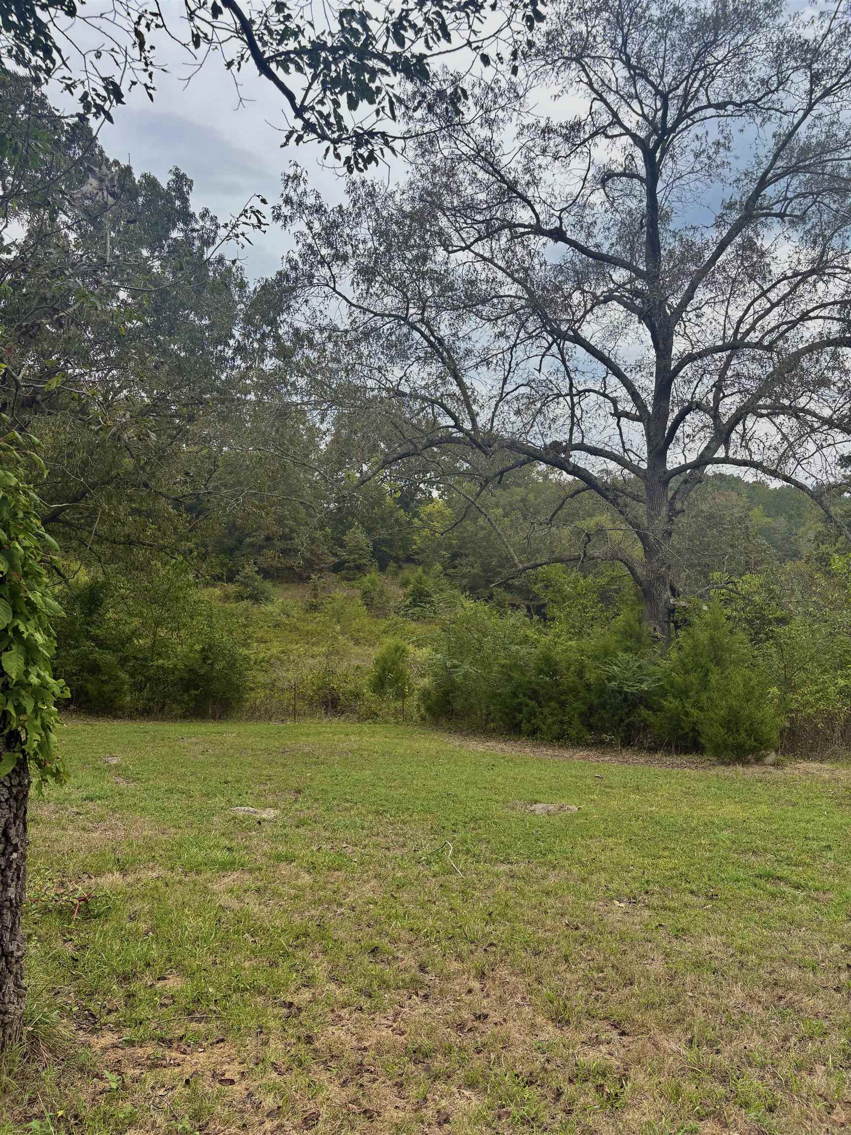 225 Claxton Loop Batesville, AR 72501