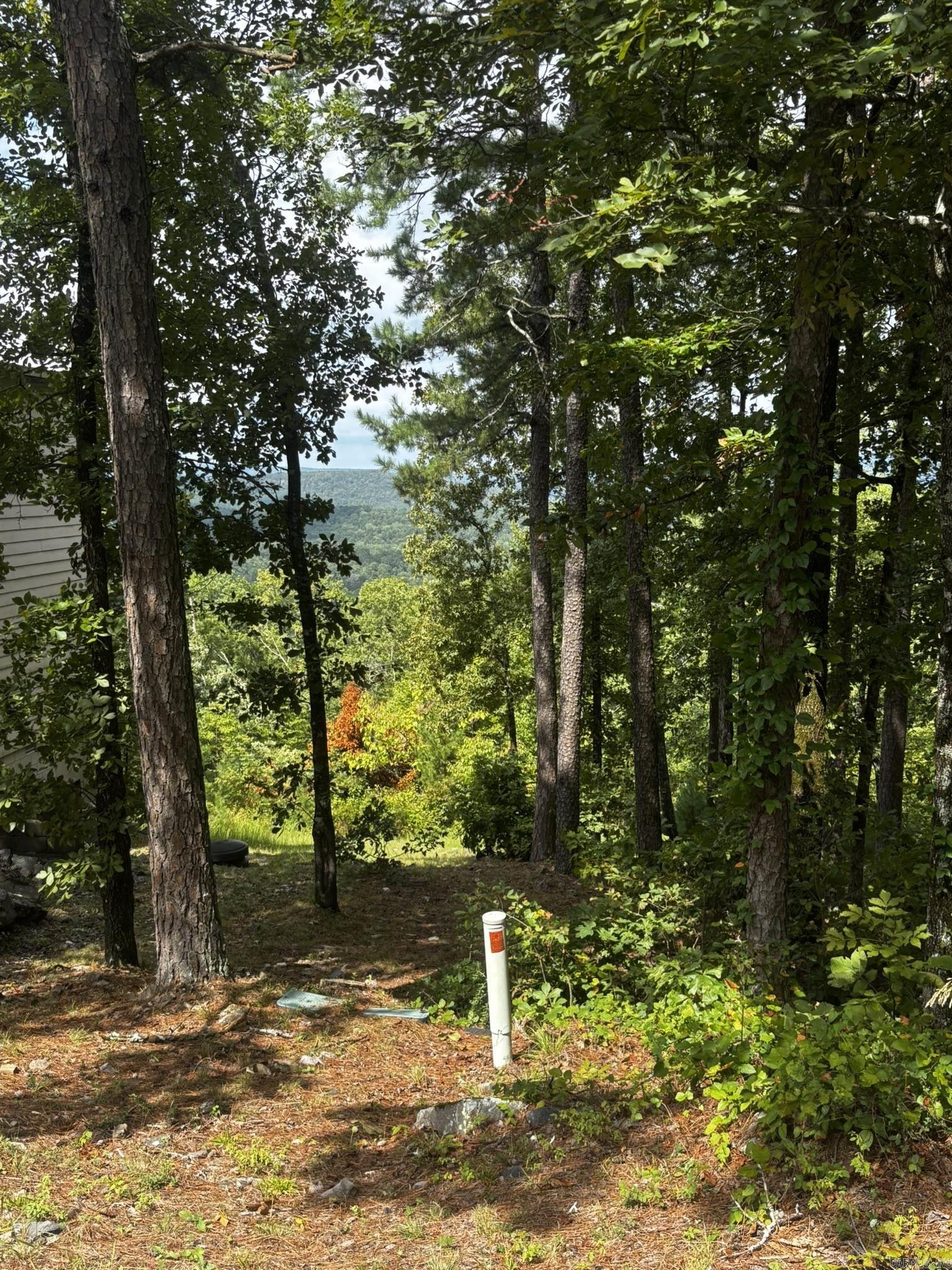 140 E Villena  Hot Springs Village, AR