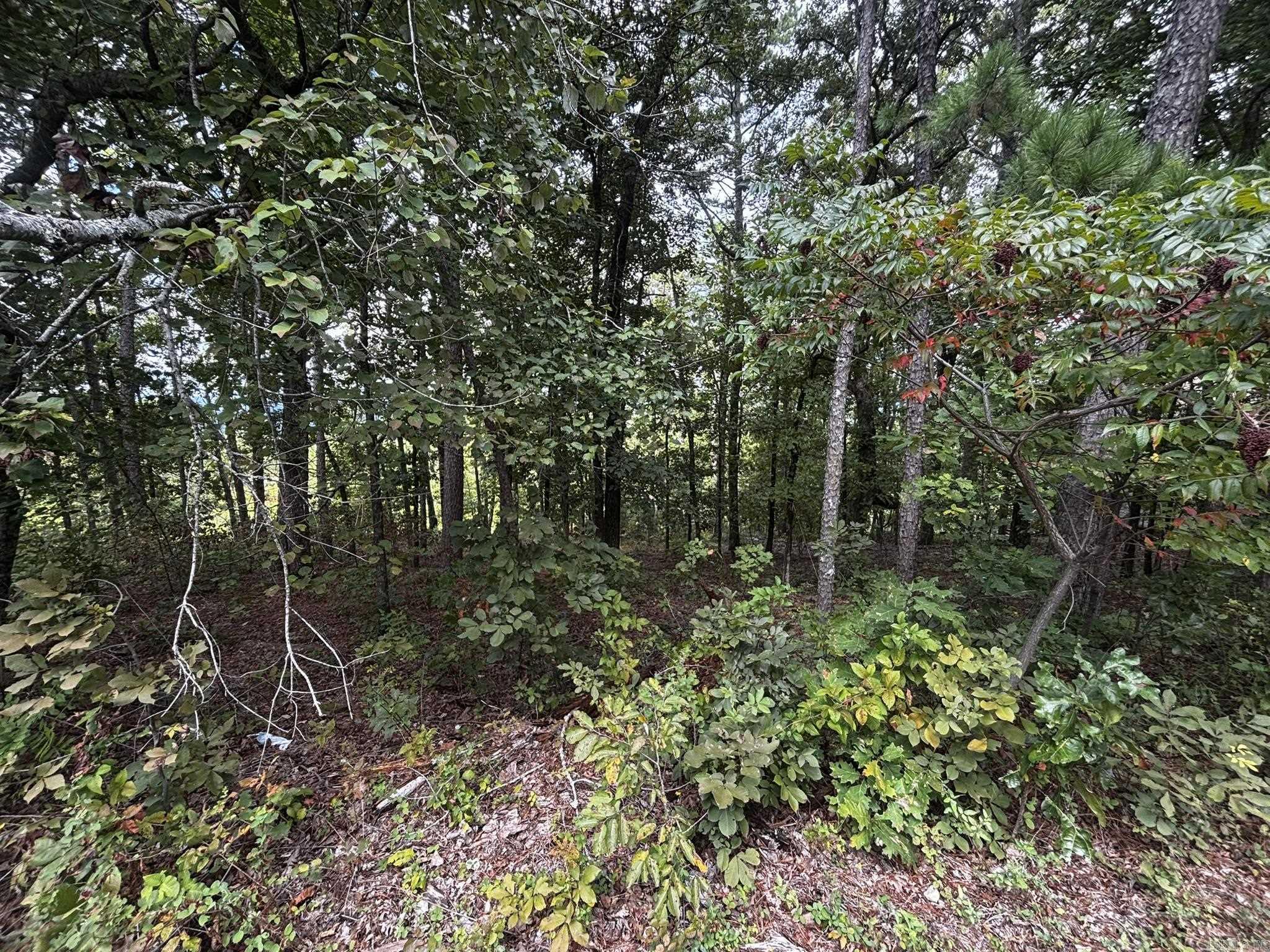 140 E Villena  Hot Springs Village, AR