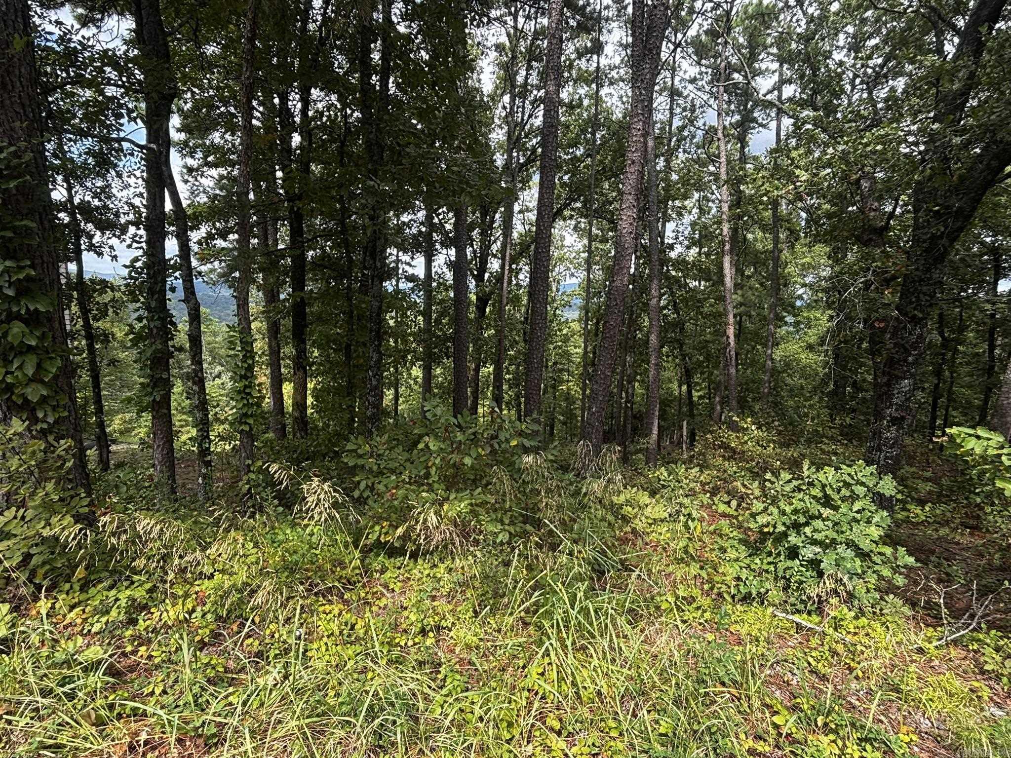 140 E Villena  Hot Springs Village, AR