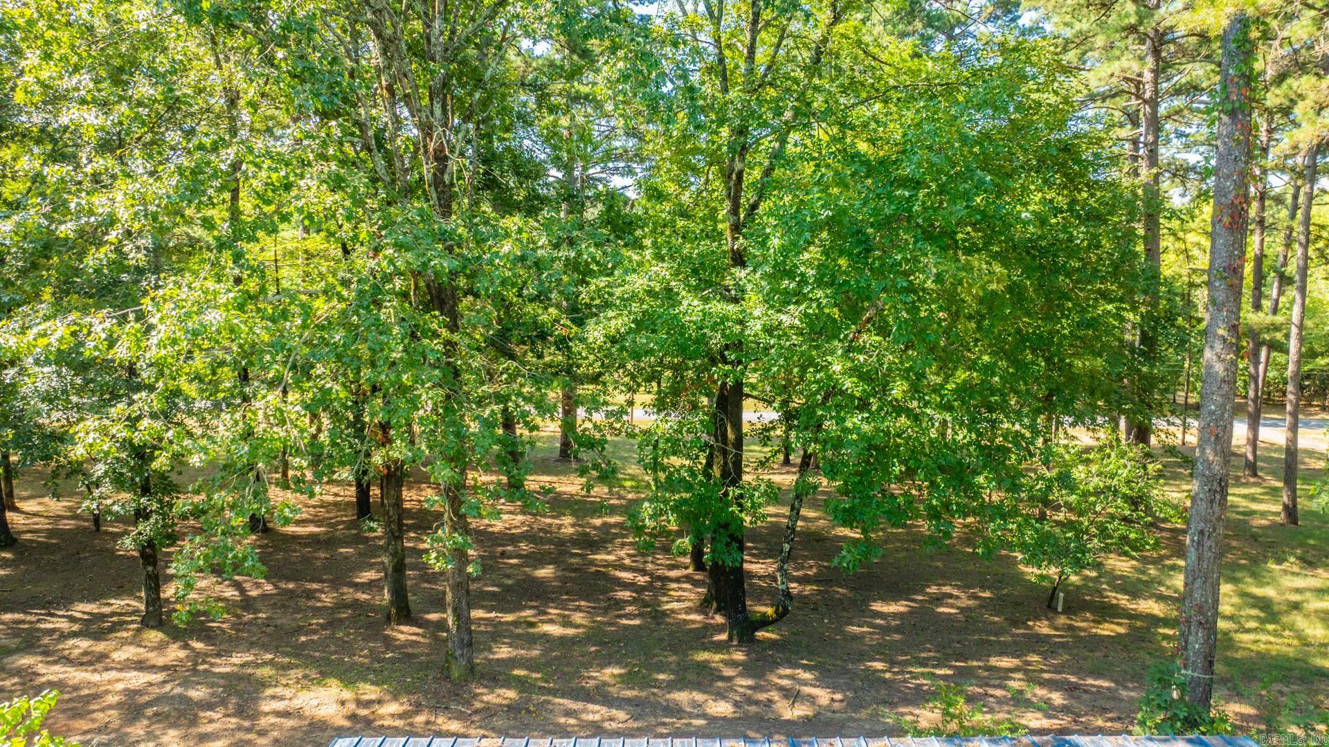 11 Sharon  Conway, AR