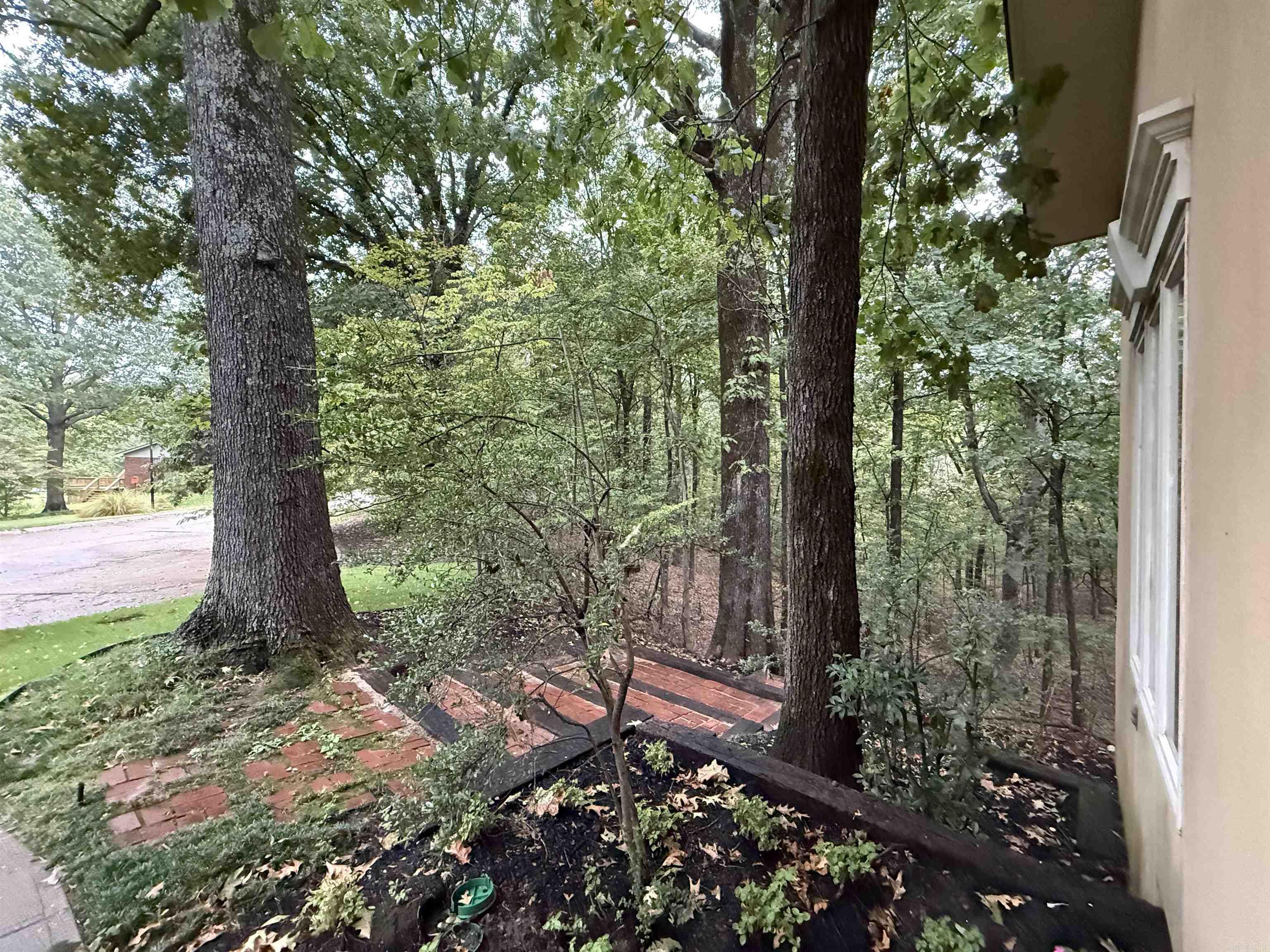 917 Calvert Cv Forrest City, AR 72335