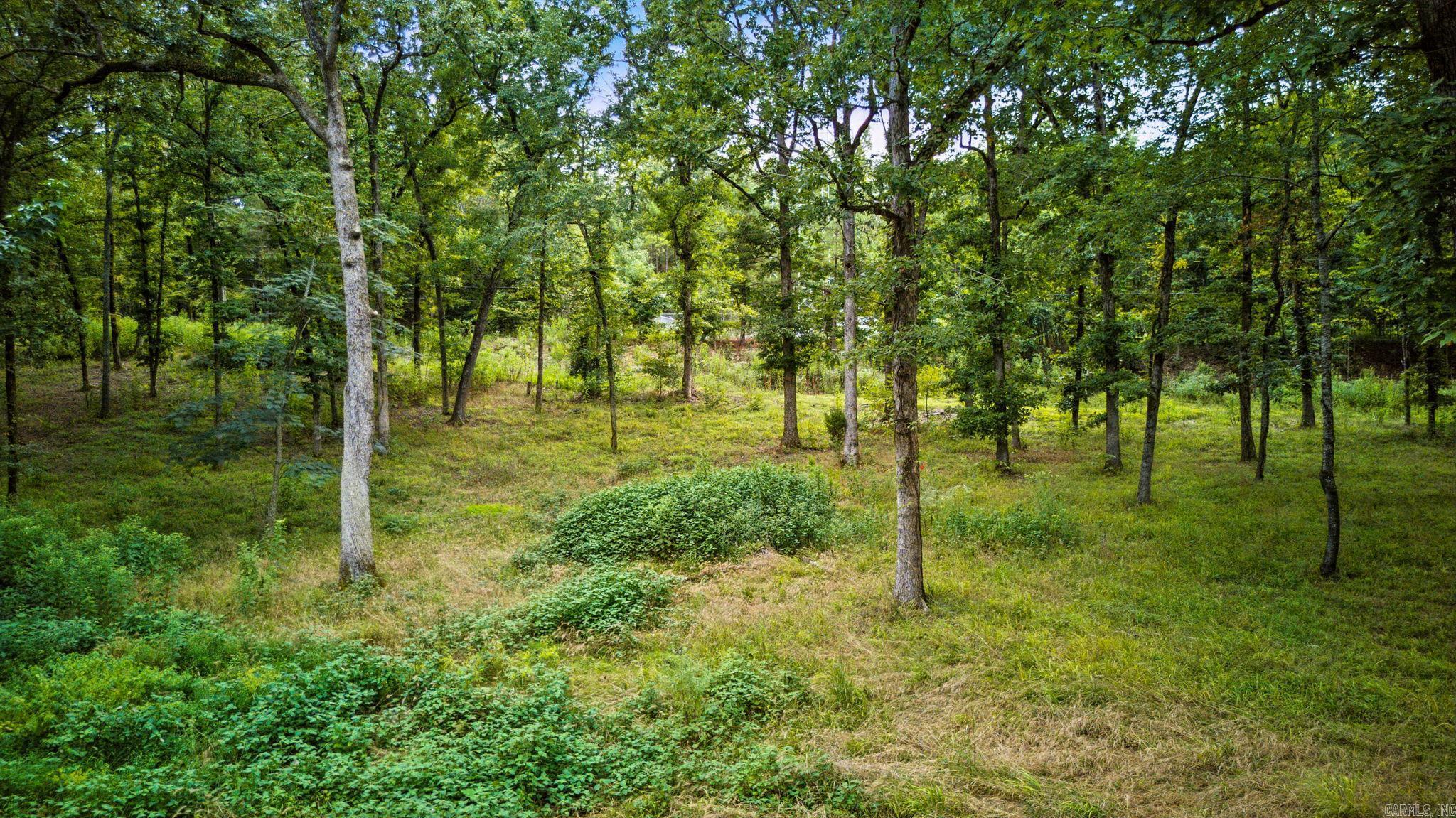 Lot H1 Charlie Stover  Royal, AR