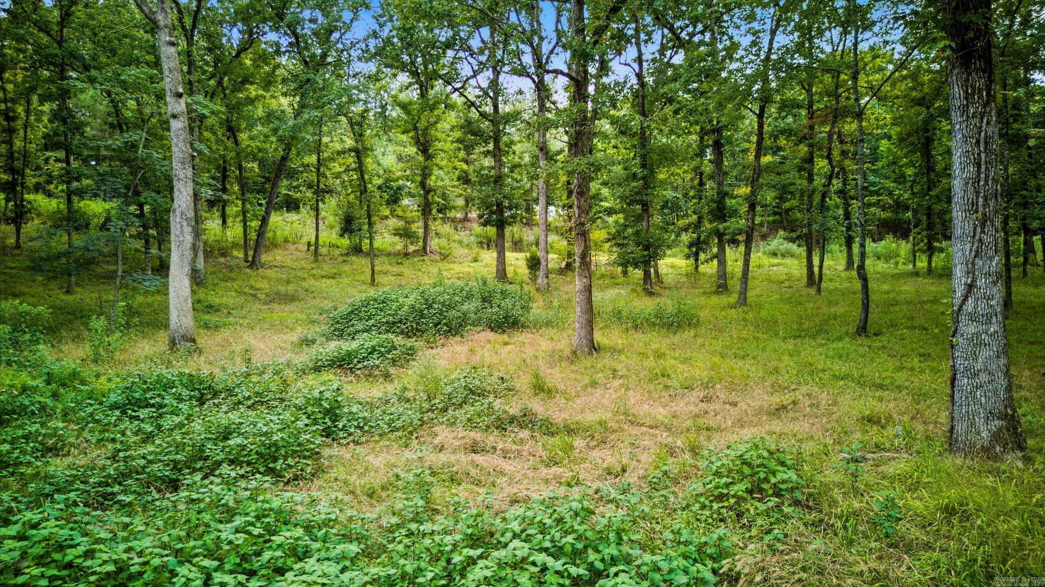 Lot H1 Charlie Stover  Royal, AR