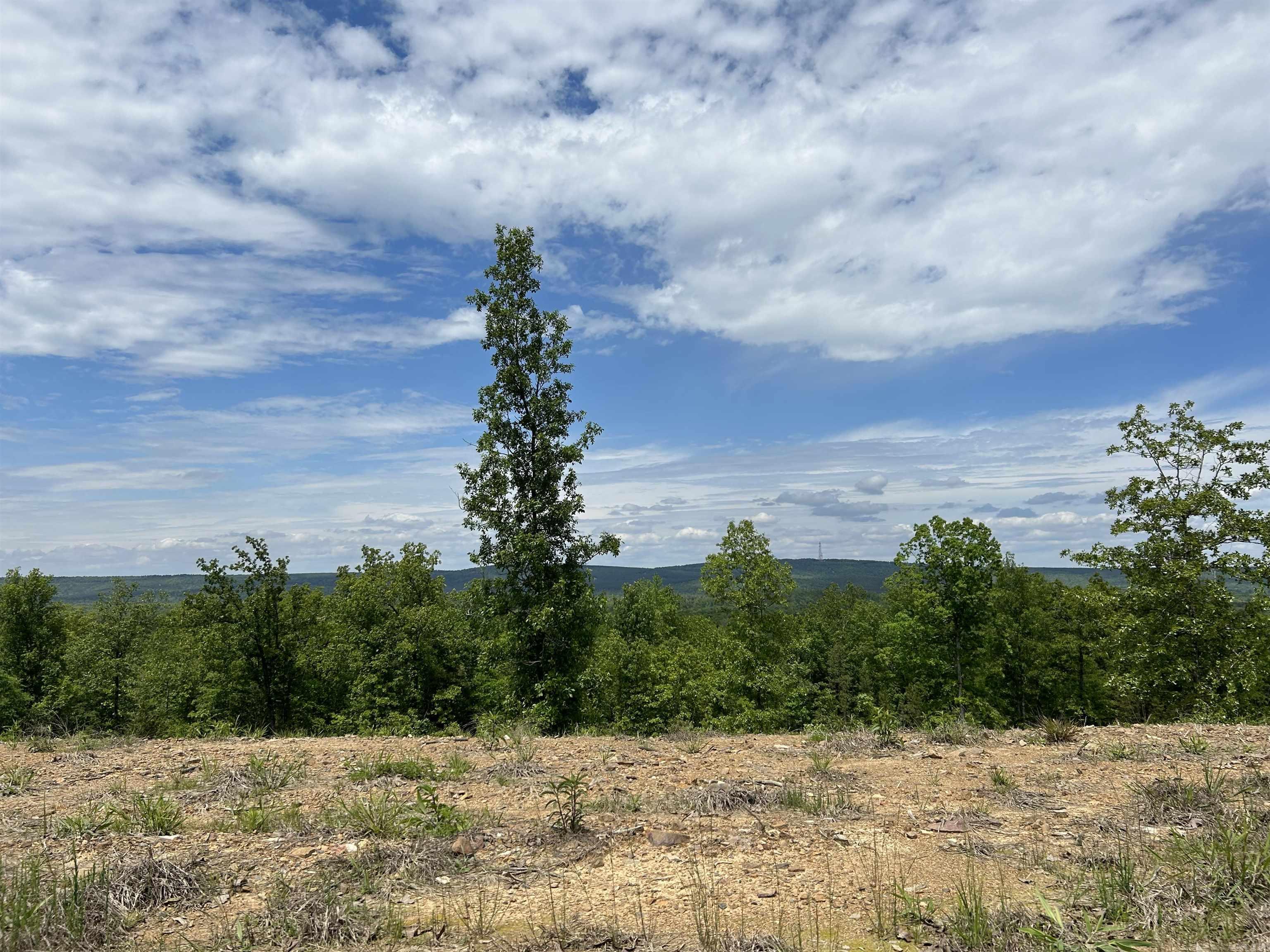 Lot 30 Waterview Drive  Roland, AR
