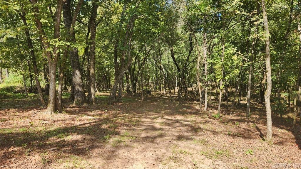 20 Reva's Retreat Way  Story, AR