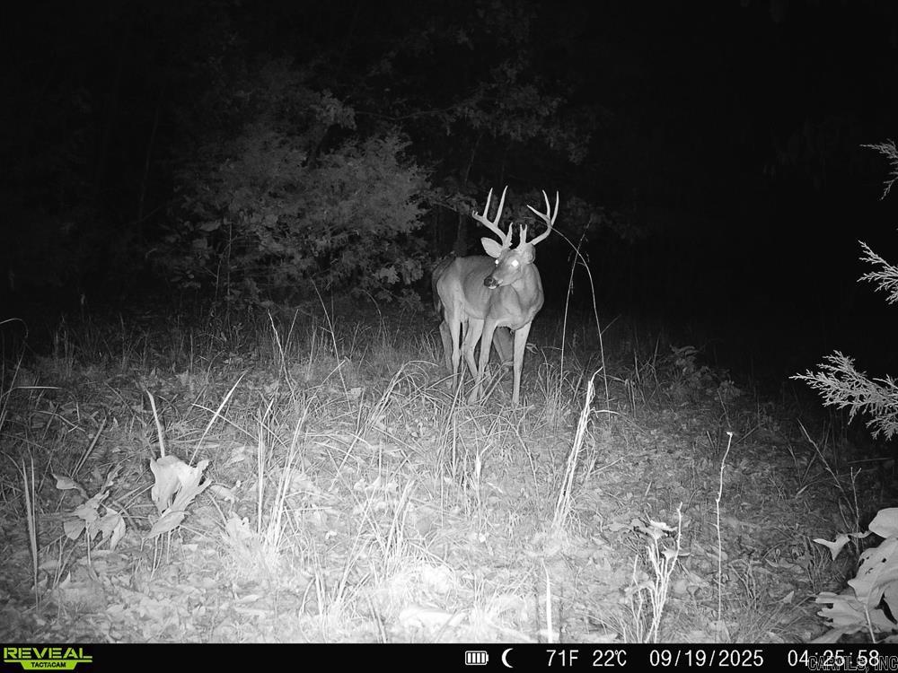 129589 N Highway 63  Hardy, AR