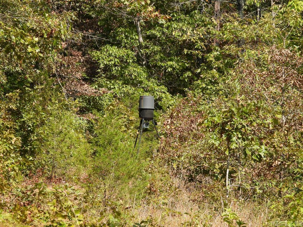 129589 N Highway 63  Hardy, AR