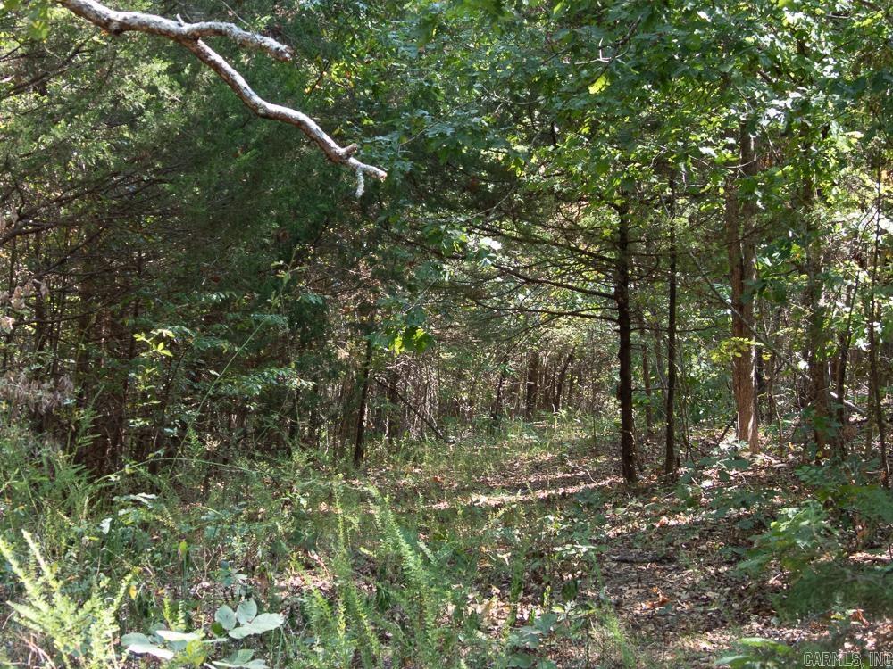 129589 N Highway 63  Hardy, AR