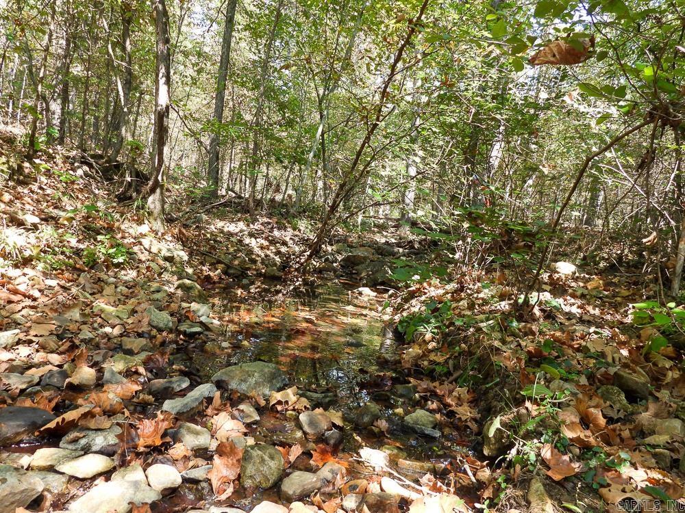 129589 N Highway 63  Hardy, AR