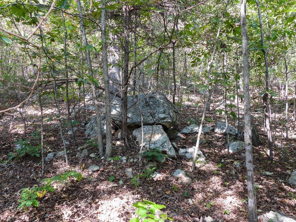 129589 N Highway 63  Hardy, AR