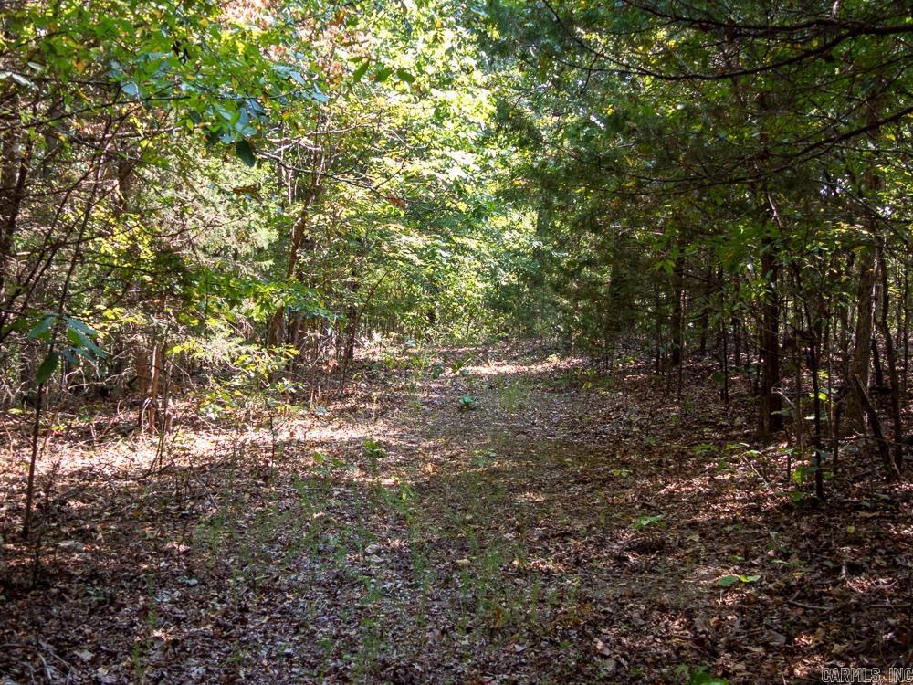 129589 N Highway 63  Hardy, AR