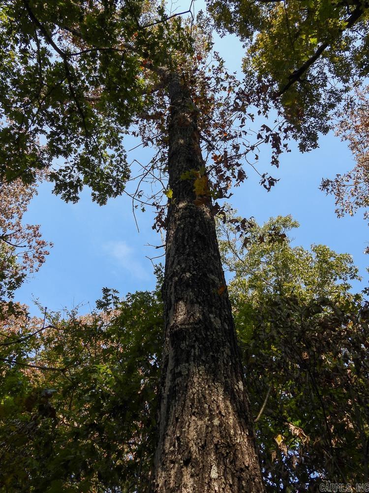 129589 N Highway 63  Hardy, AR