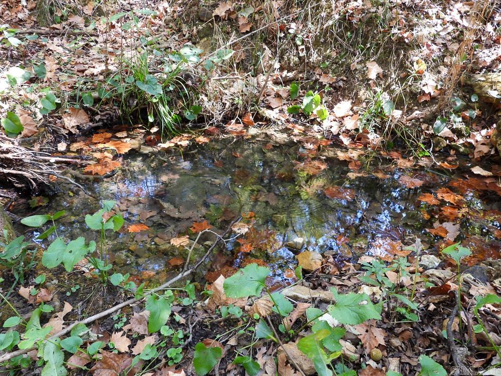 129589 N Highway 63  Hardy, AR