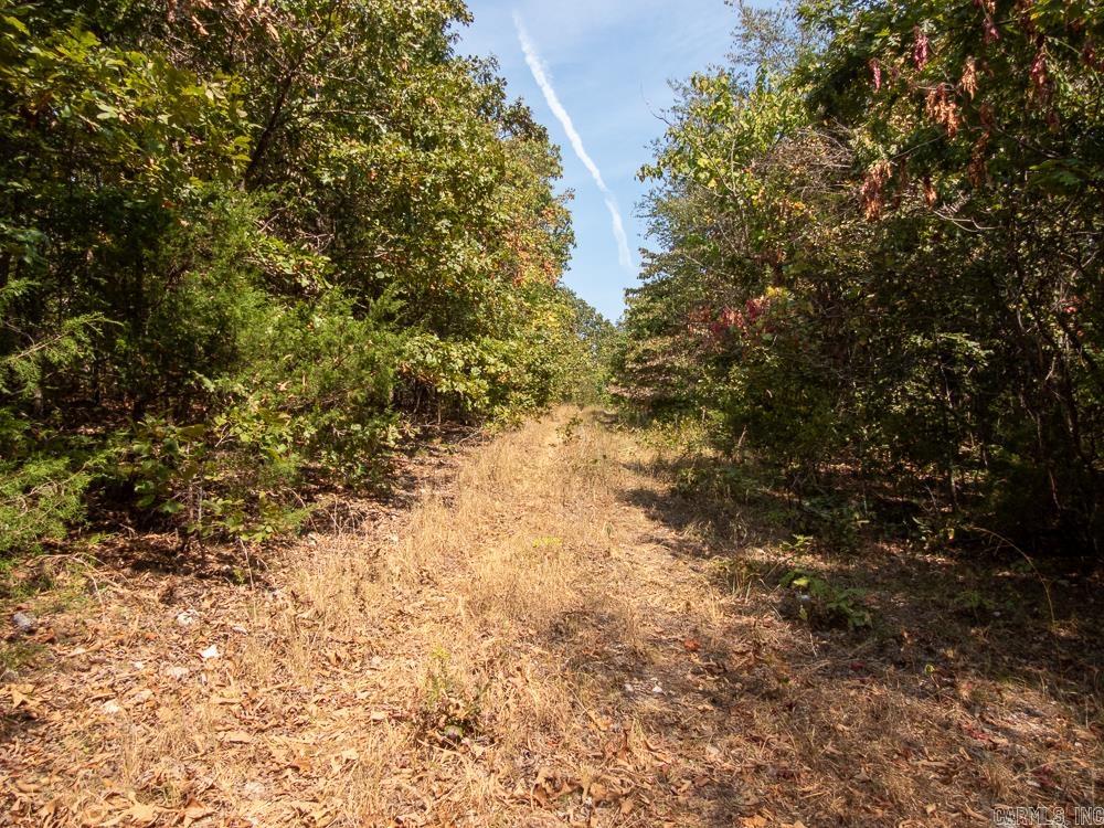 129589 N Highway 63  Hardy, AR