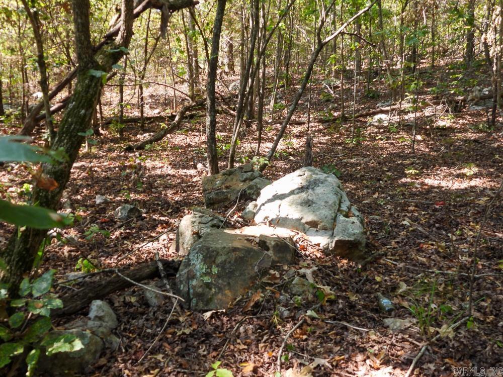 129589 N Highway 63  Hardy, AR