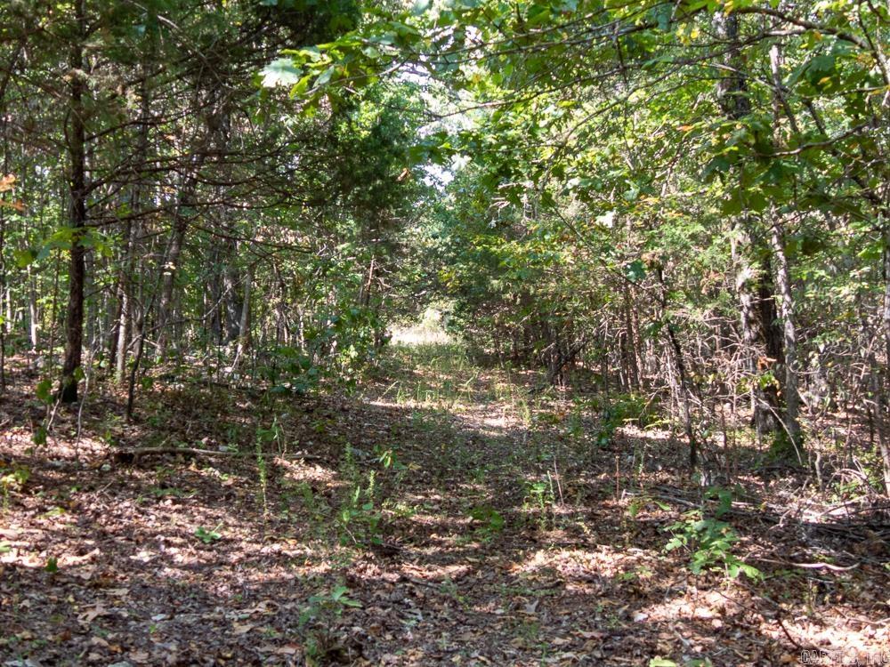 129589 N Highway 63  Hardy, AR