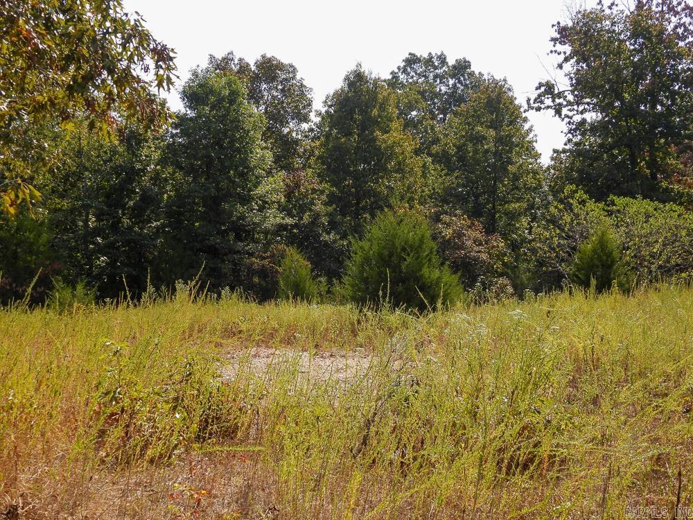 129589 N Highway 63  Hardy, AR