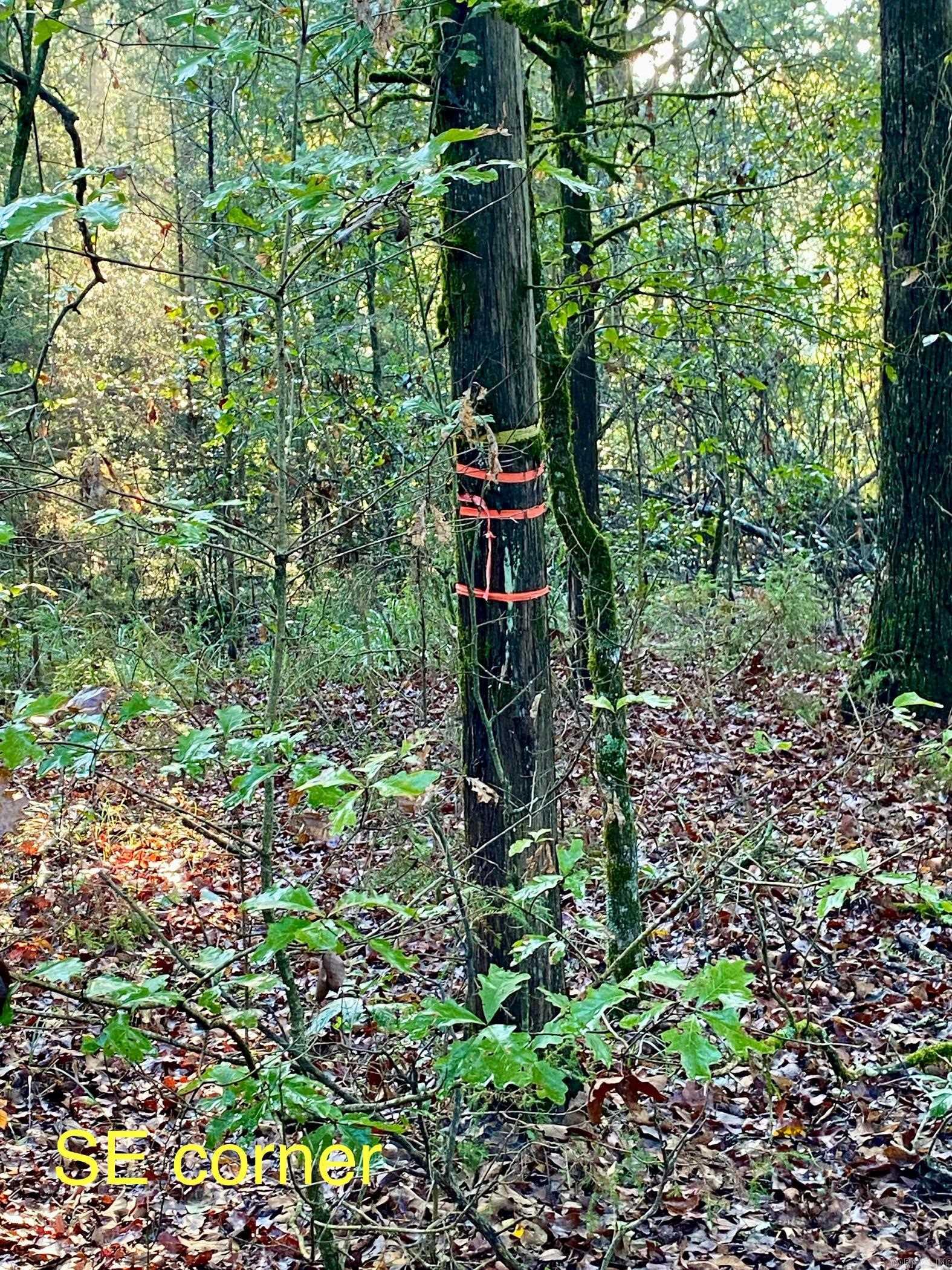 5 Acres Off PR 2772  Lamar, AR