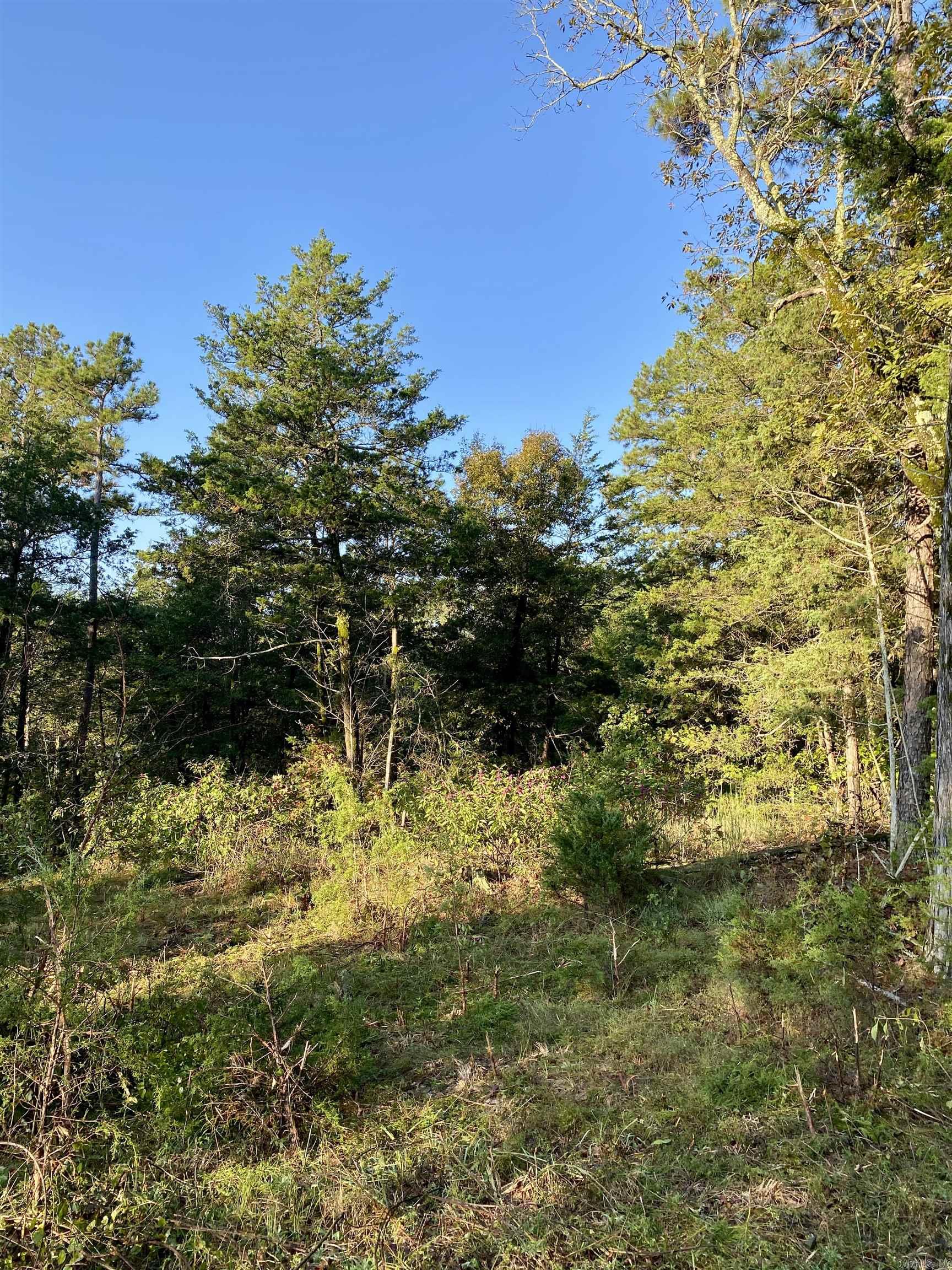 5 Acres Off PR 2772  Lamar, AR