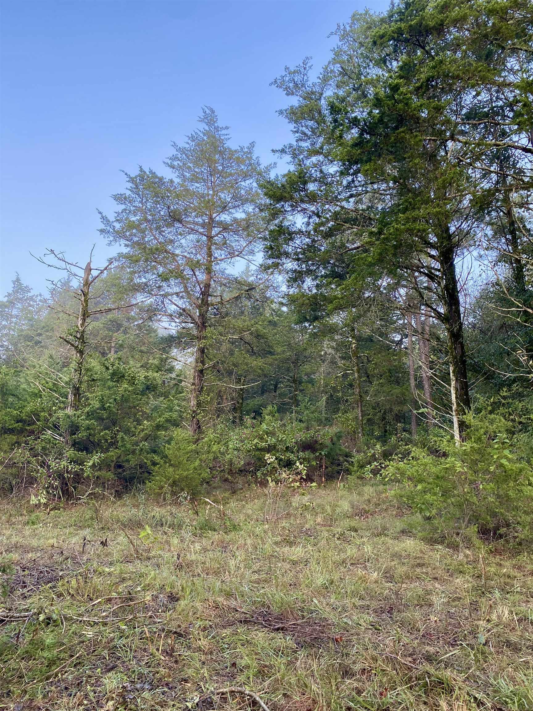 5 Acres Off PR 2772  Lamar, AR