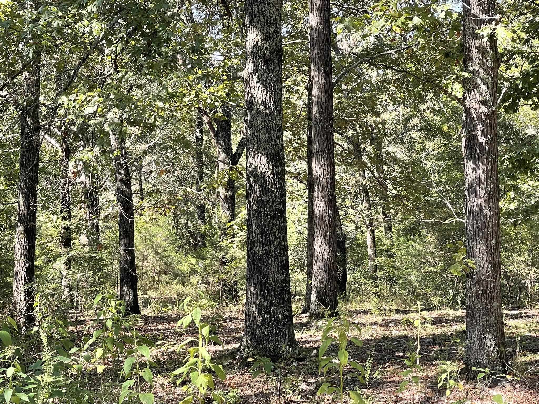 690 N Copperhead Road Franklin, AR 72536