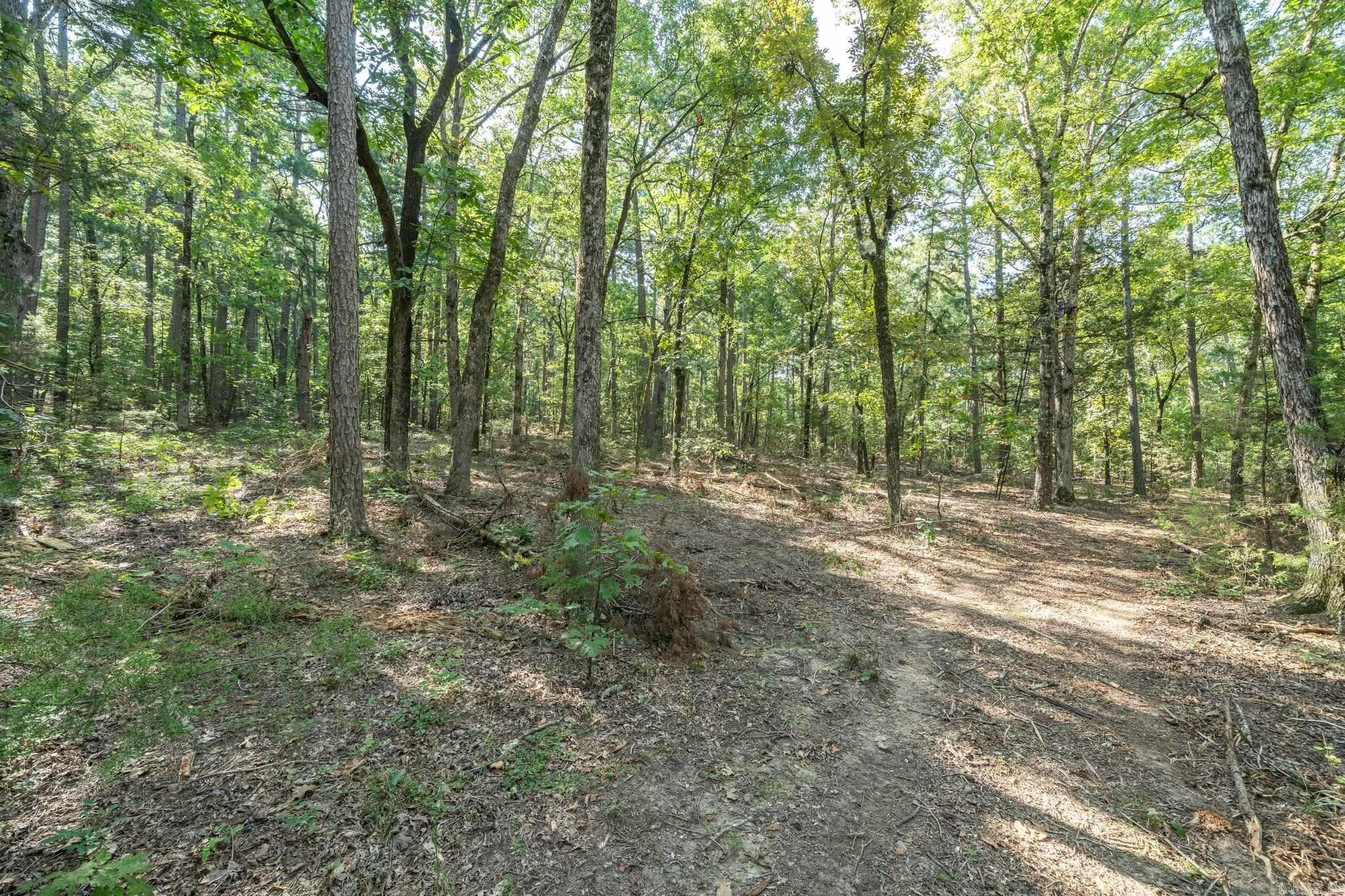 3024 Red Bench Rd  Paris, AR