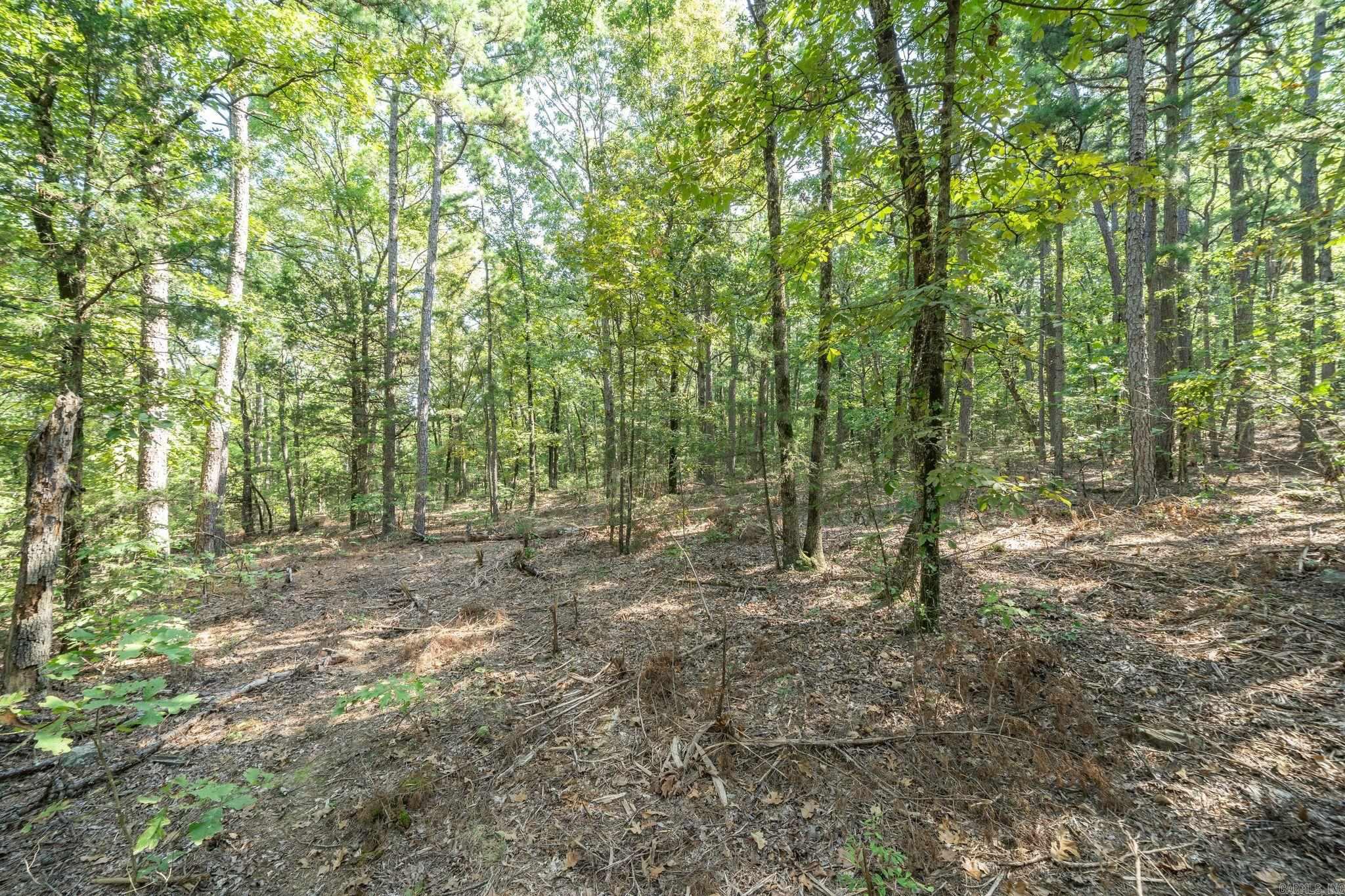 3024 Red Bench Rd  Paris, AR