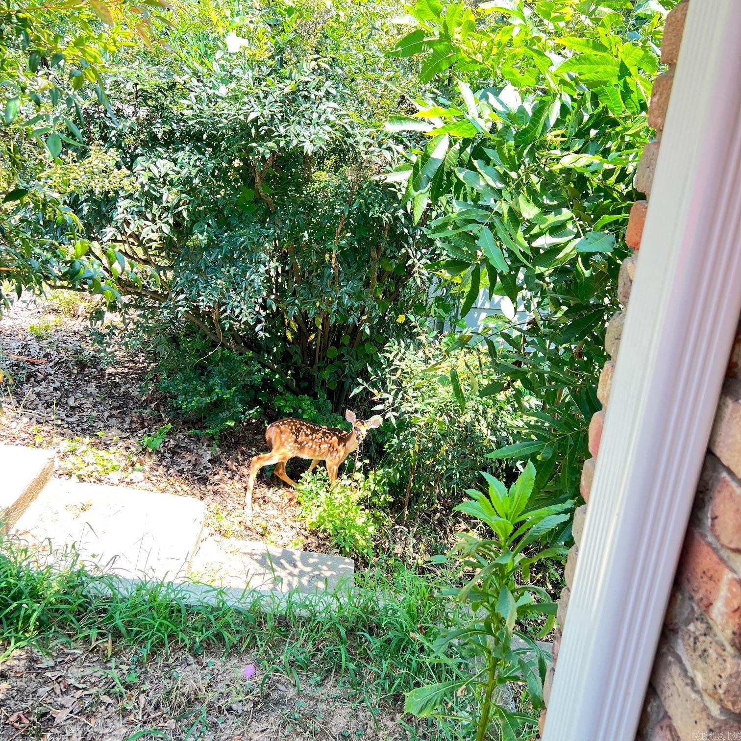 15 Indian Trail Little Rock, AR 72207