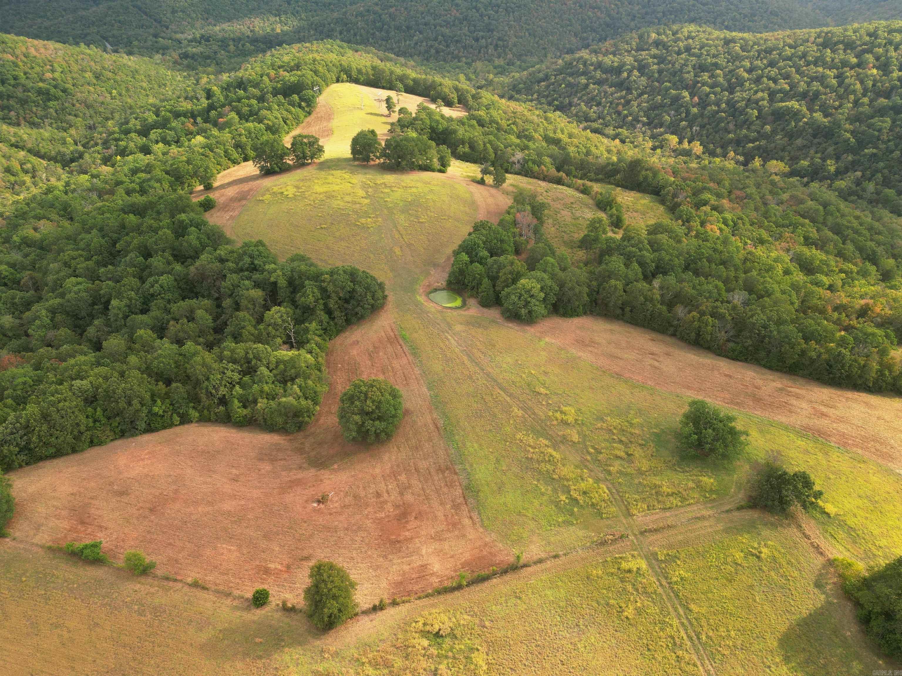 622 Daisy Lane  Yellville, AR