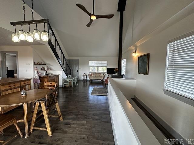 622 Daisy Lane  Yellville, AR