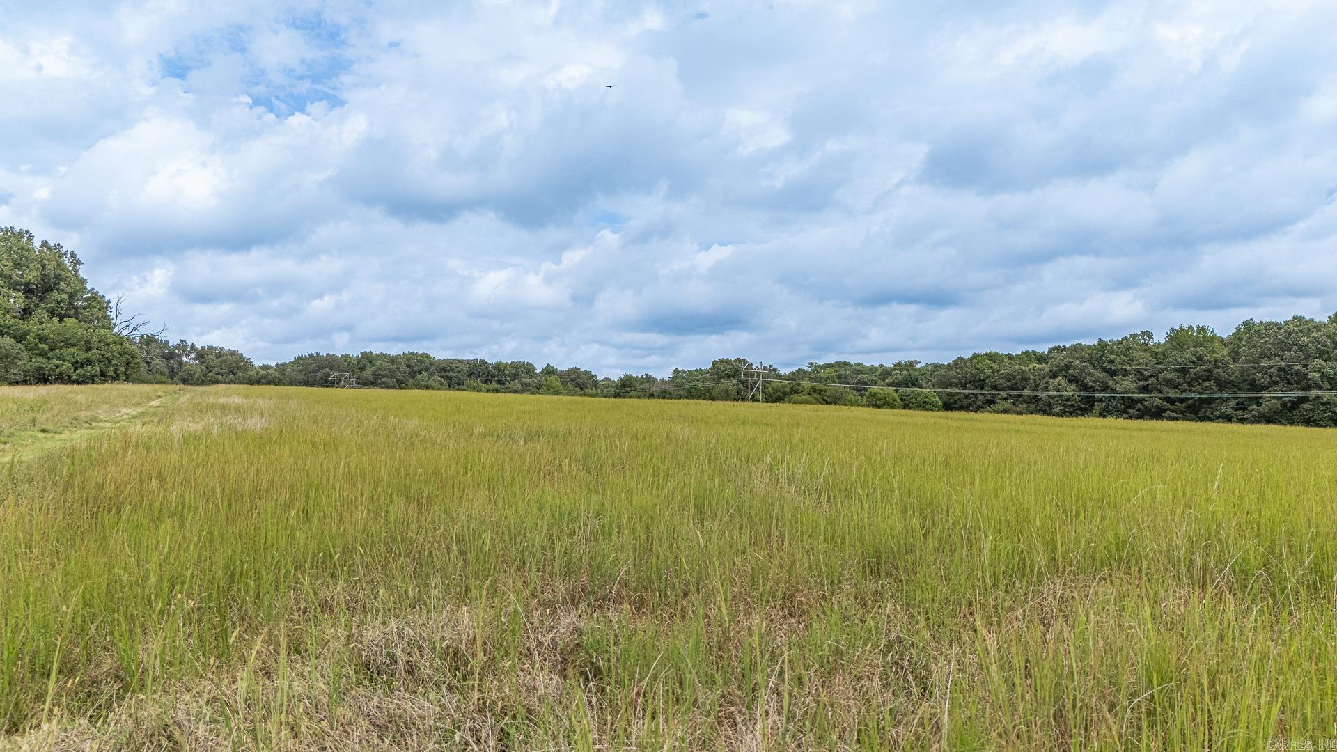 23 Winchester  Jonesboro, AR