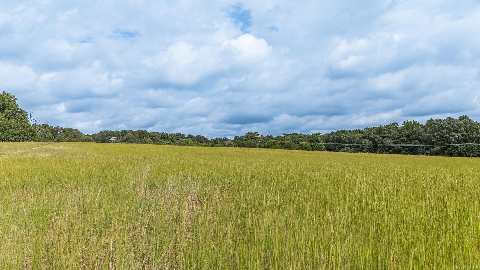 23 Winchester  Jonesboro, AR