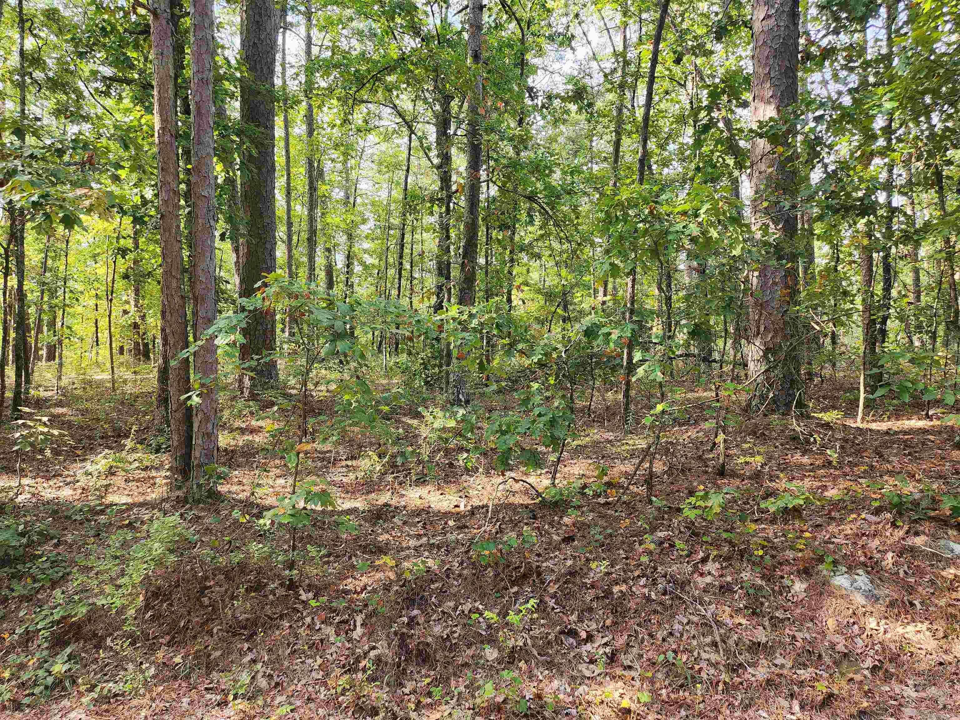 65 Extrano  Hot Springs Village, AR