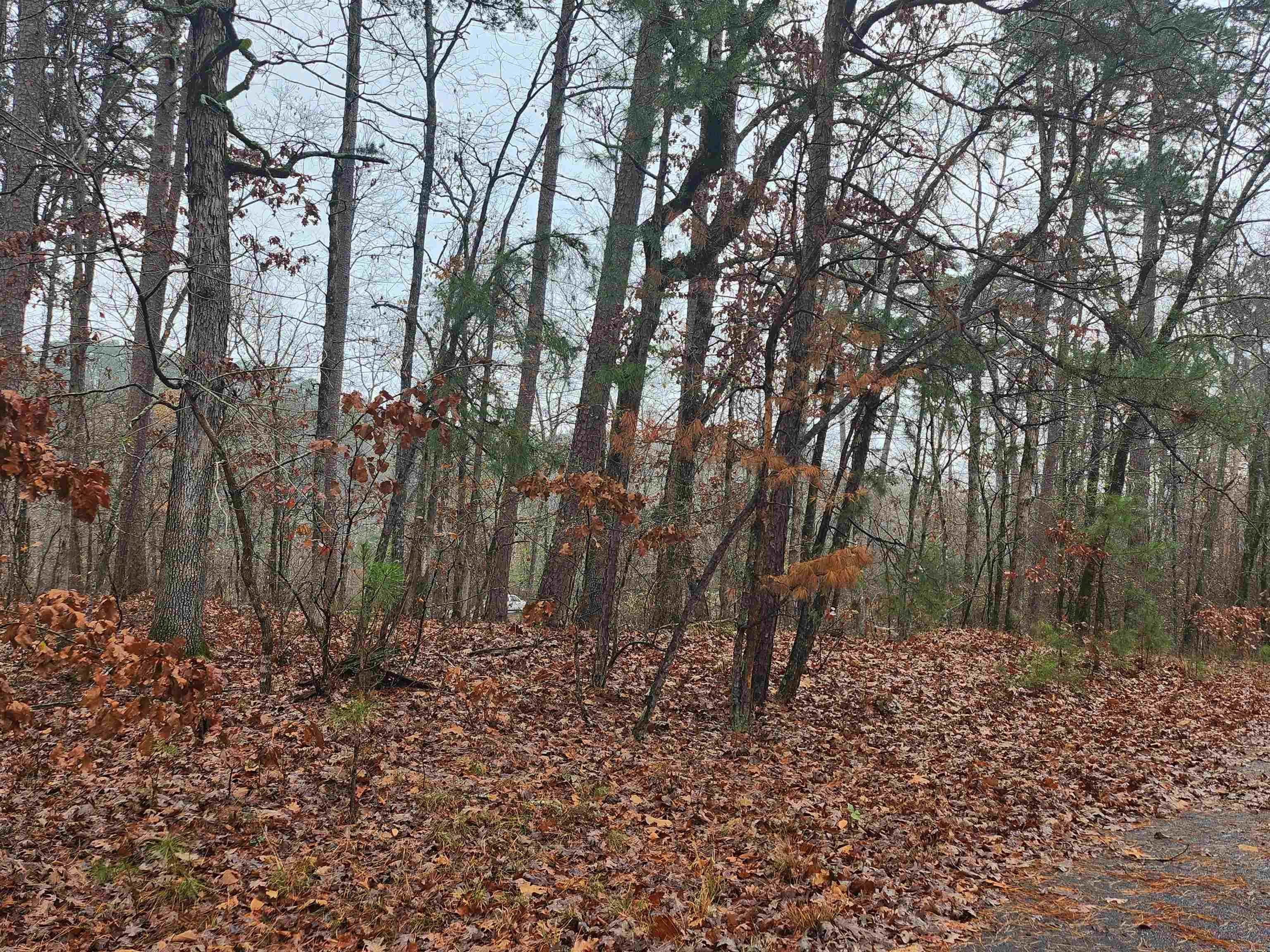  Quijote  Hot Springs Village, AR