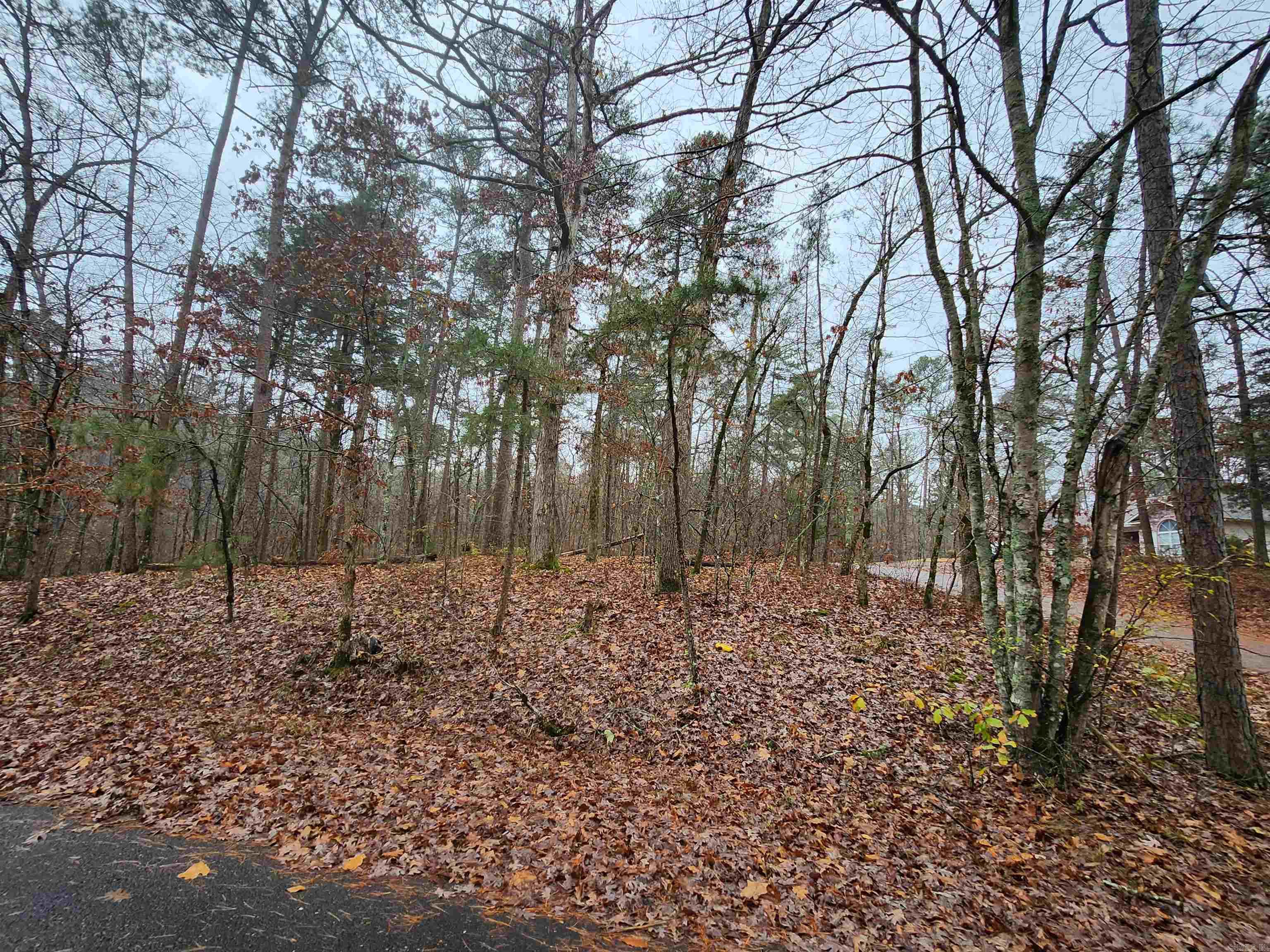  Quijote  Hot Springs Village, AR